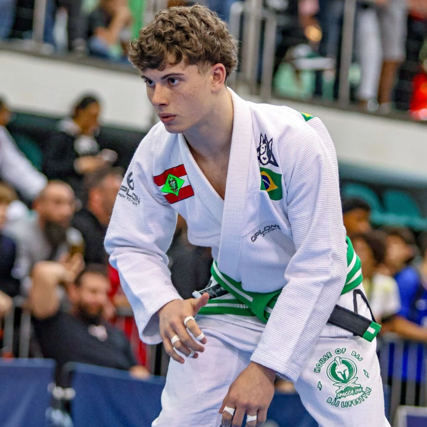 Nicolas Taz Campeonato Europeu de Jiu-Jítsu 2025